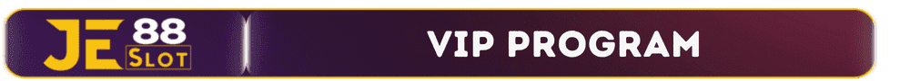 VIP Program