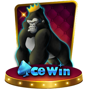 AceWin